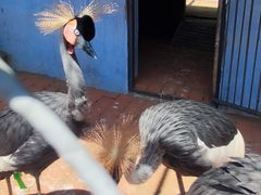 -哈尔滨北方森林动物园