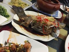 高原雪山鱼-小厨子私房菜·云南美食店