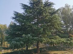 -济南国际园博园