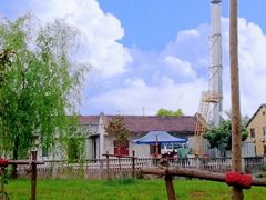-喜杨洋草莓采摘园
