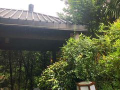 -杭州第一世界大酒店·云曼温泉