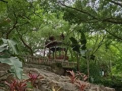 -乌山风景区
