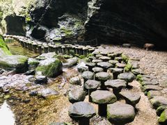 -牛背梁国家森林公园