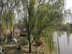 -西安浐灞国家湿地公园