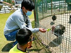 -前小桔亲子创意农场·草莓采摘·露营烧烤