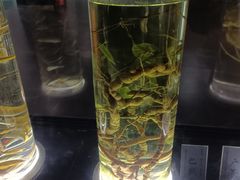 -广东中医药博物馆