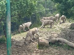 -常州淹城野生动物世界