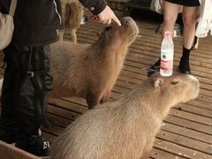 -昆明动物园