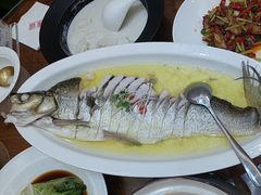 -鲁宴·鲁煨黄河生态大鲤鱼(月坛店)