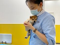 -瑞派·爱瑞可动物医院·口腔专科(广华新城分院)