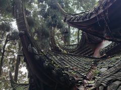 -青城山
