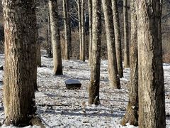 -太子岭滑雪场
