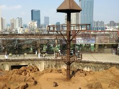 -昆明动物园