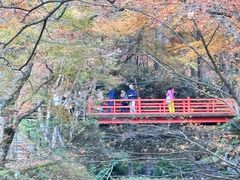 -三千院