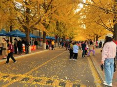 -辽东学院(南校区)