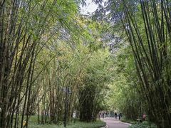 -晓港公园