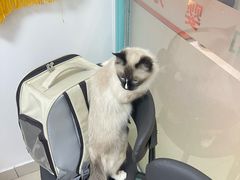 -全心全意连锁动物医院·特色中医诊疗(会城门分院)