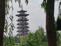 -洋湖国家湿地公园