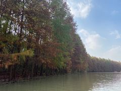 -上海海湾国家森林公园