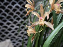 -鱼桥巷·美学川菜