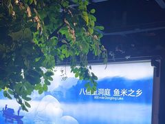 -佬麻雀·剁椒鱼头(京基KK One店)