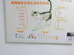 -宠颐生宠物医院外科·内科·皮肤科·影像科(石龙店)