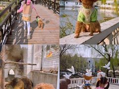 -J Create城市露营咖啡·简餐·宠物(上海动物园店)