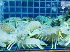 -徐记海鲜(梅溪新天地店)