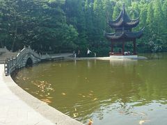 android_upload_pic-忠山公园