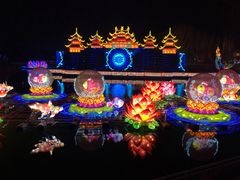 -淄博花灯齐彩城