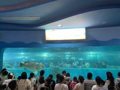 -苏州海洋馆