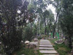 -莲湖公园