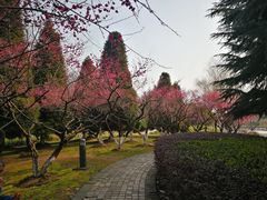 -白塘生态植物园