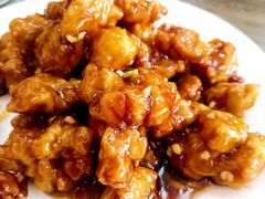 -林之六八·6886大连老菜馆