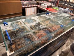 -盐城万豪酒店-盐城厨房西餐厅
