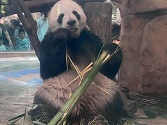 -南昌动物园