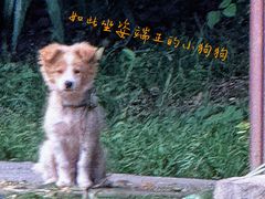 -徽园