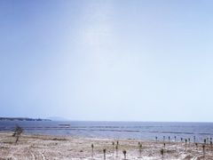 -巢湖姥山岛
