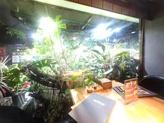 -森味薪火烧•烧鸟居酒屋•日本料理(望京店)