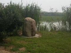 -泗洪洪泽湖湿地景区
