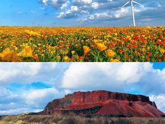 -沉浸北京·团建旅行·密室剧本杀·年会会议轰趴拓展