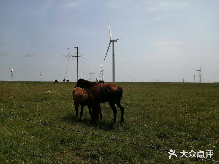 塞罕坝国家级自然保护区图片