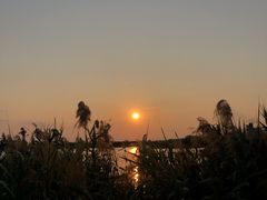 -芒洲湿地公园