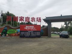 -洪湖家庭农场·团建·露营·会议