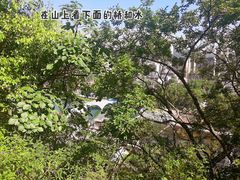 -水镜庄风景区
