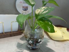 -船歌·鱼水饺青岛菜(太阳宫凯德MALL店)