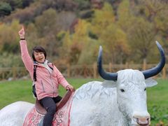 -叠溪松坪沟景区