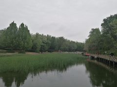 -云岗森林公园