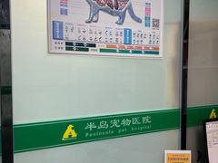 -半岛宠物医院24小时(科华中路店)