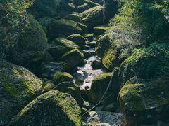 -剑门关风景区